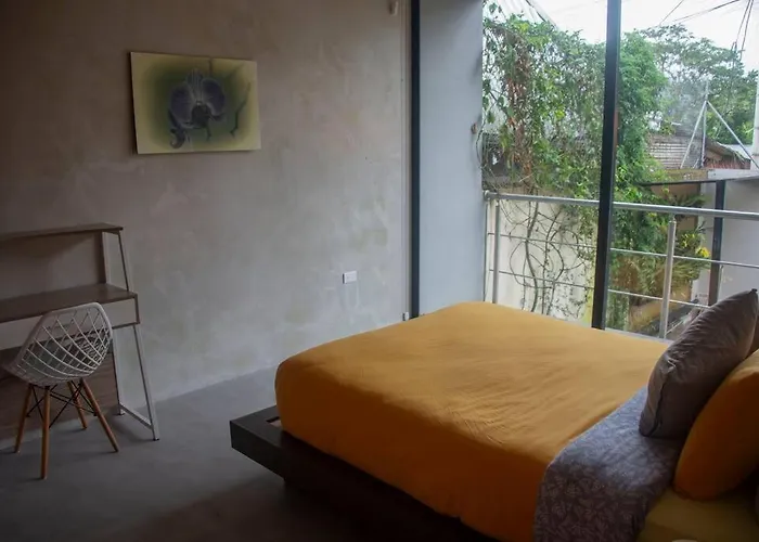 Maison Mindo