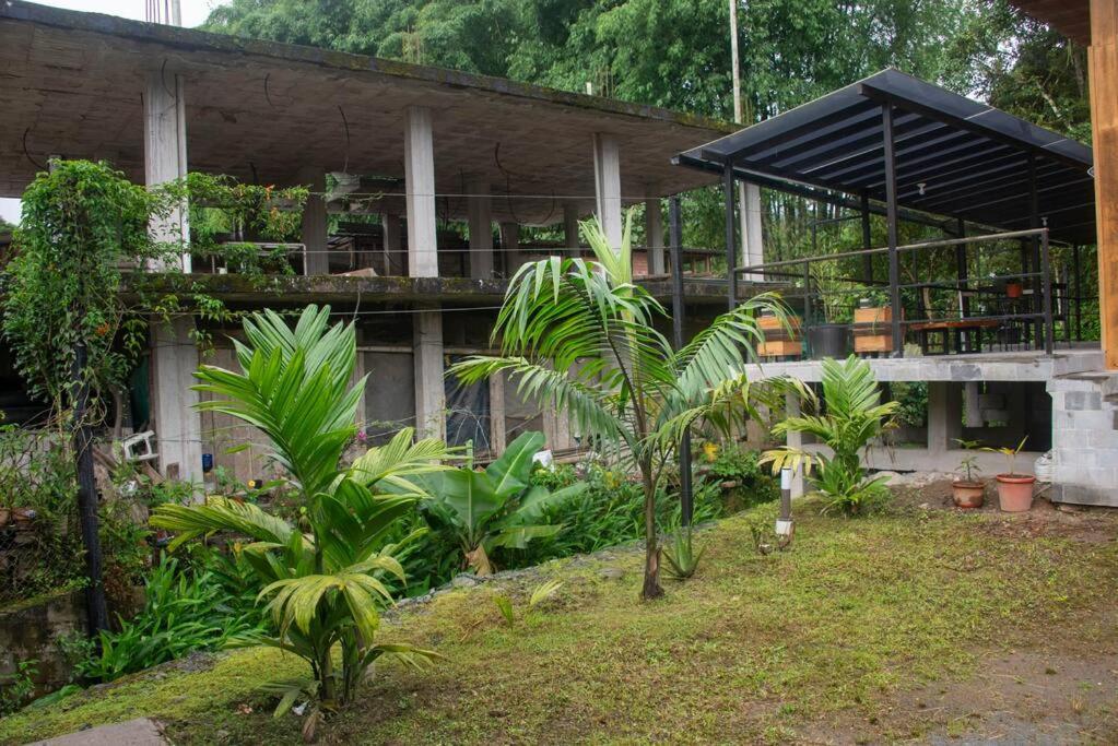 Maison *